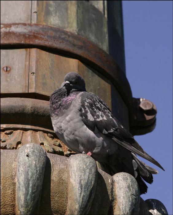 _MG_4081 Kopie_galerie.jpg